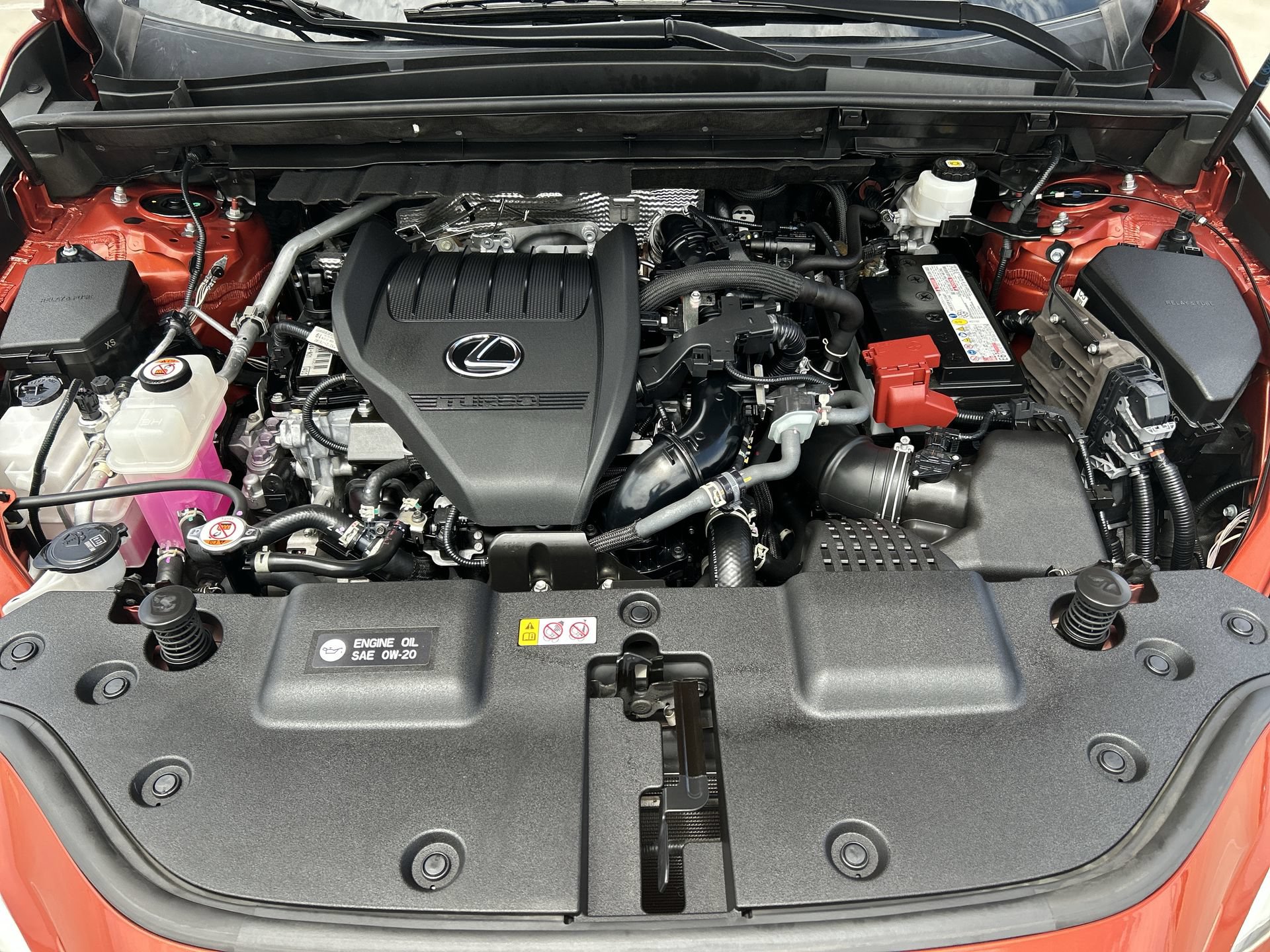 Used 2023 Lexus NX 350 AWD w/ Cold Area Package image 18