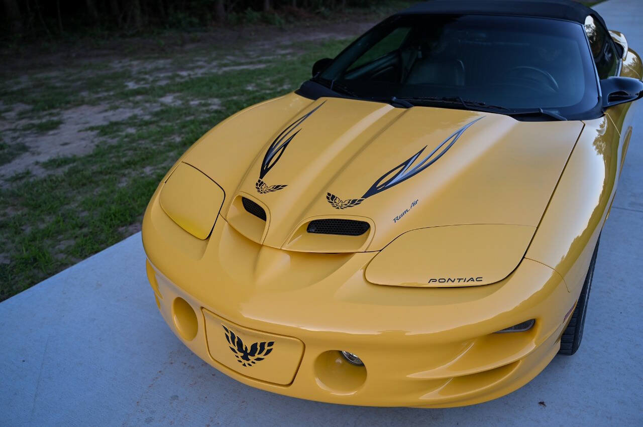 Used 2002 Pontiac Firebird Trans Am RWD image 56