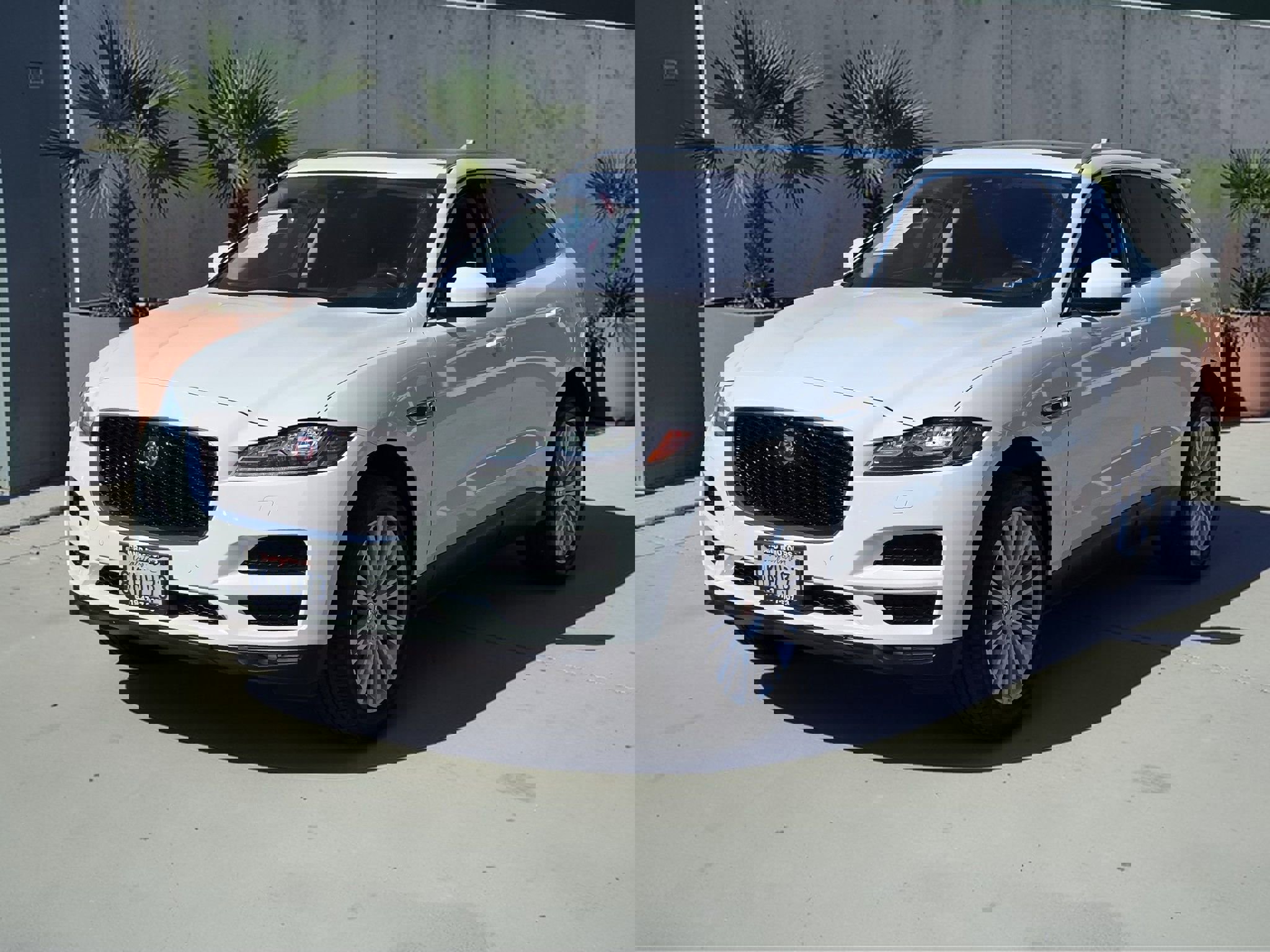 Used 2019 Jaguar F-PACE Portfolio image 3