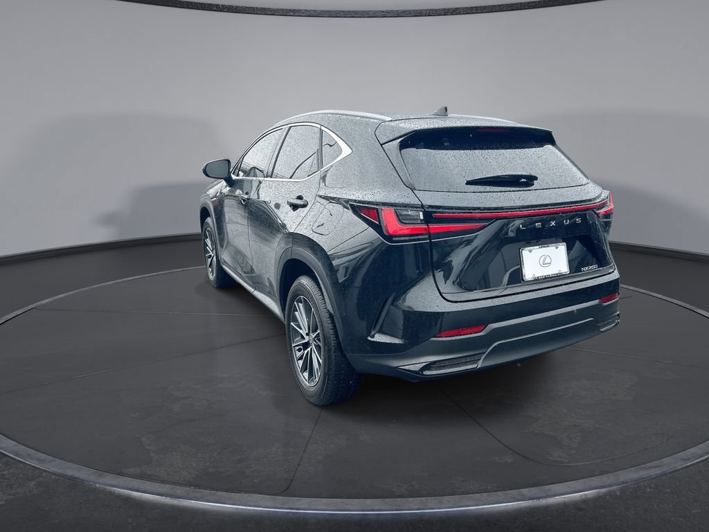 Used 2025 Lexus NX 250 FWD w/ Accessory Package (Z1) image 10