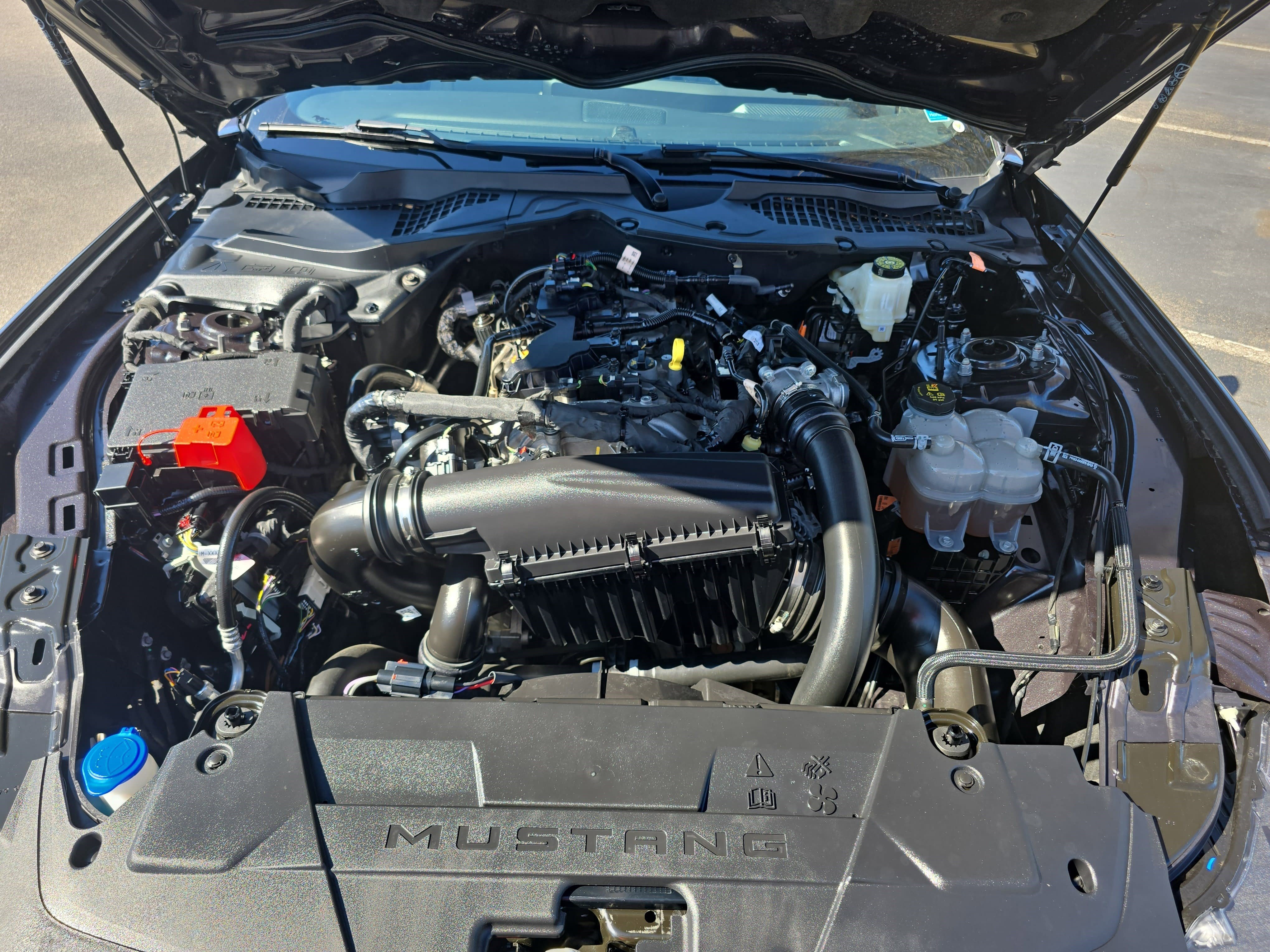 Used 2024 Ford Mustang Premium image 31