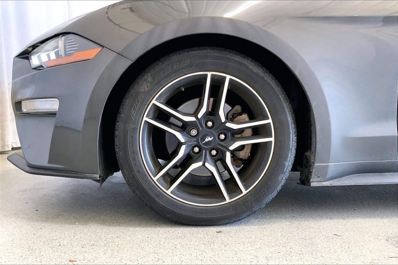 Used 2019 Ford Mustang Premium RWD image 6