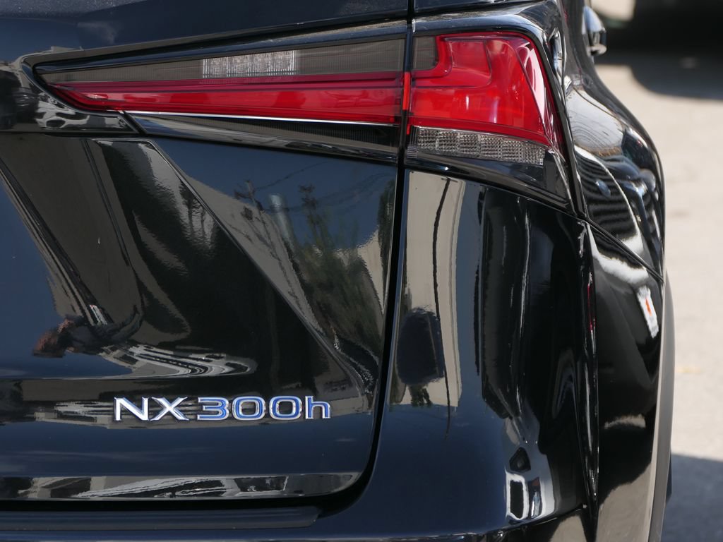 Used 2020 Lexus NX 300h AWD w/ Premium Package image 4
