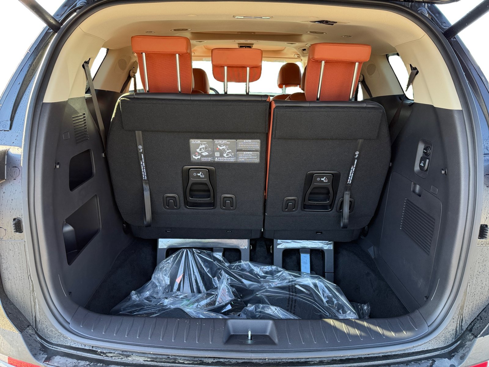 New 2027 Kia Carnival SX FWD image 17