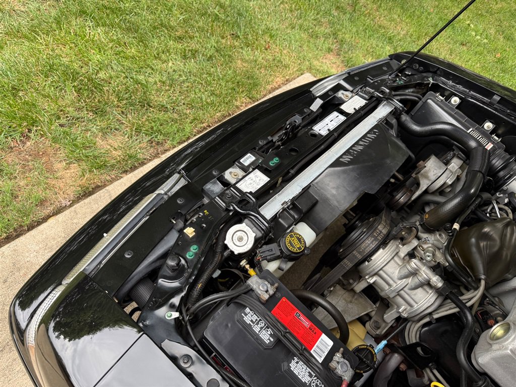 Used 1993 Ford Mustang Cobra RWD image 71