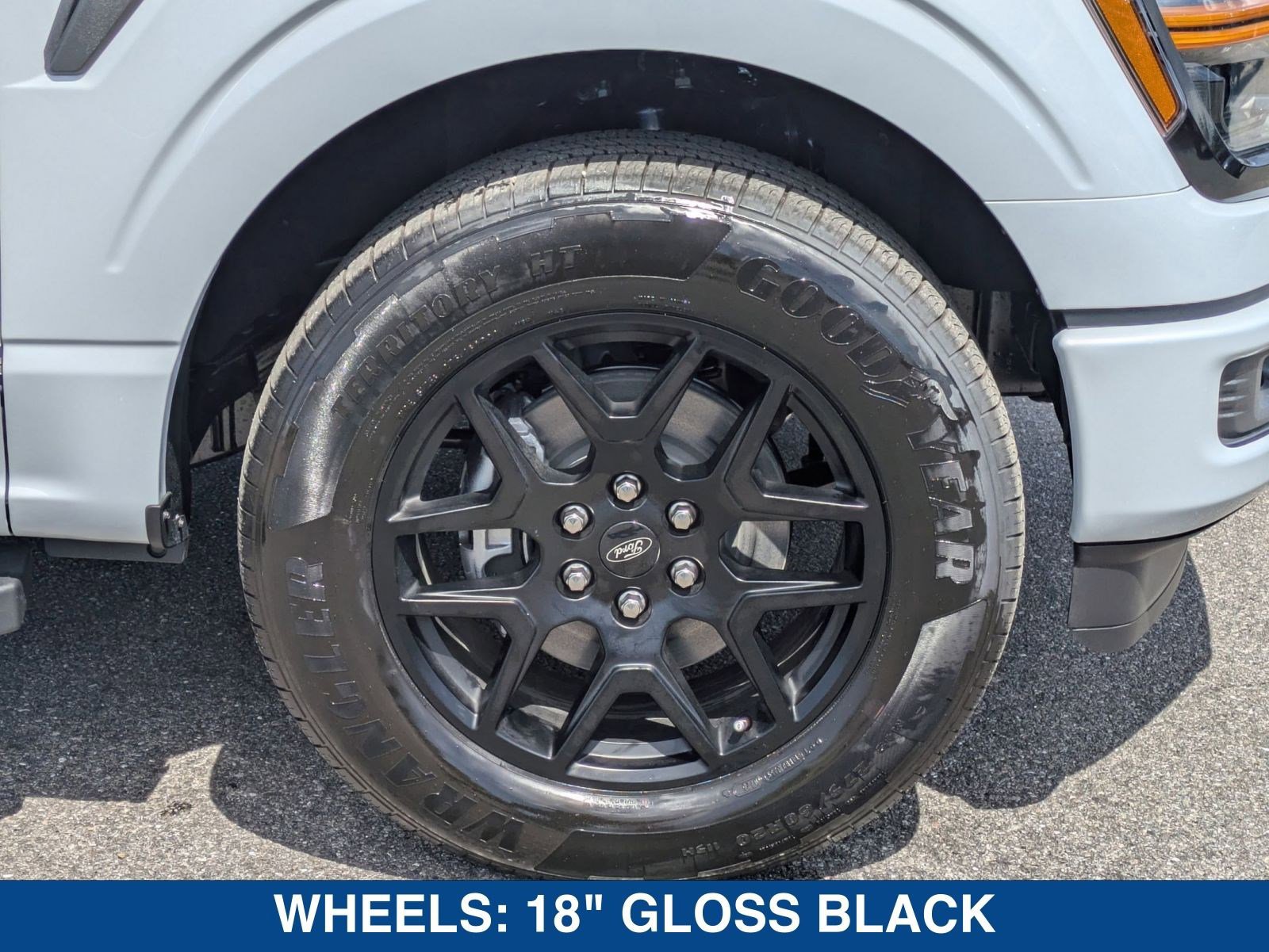 New 2025 Ford F150 STX w/ STX Black Appearance Package image 12