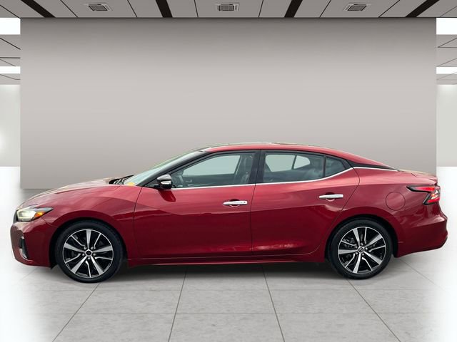 Used 2023 Nissan Maxima SL image 7