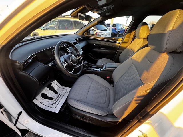 Used 2024 Hyundai Santa Cruz SEL w/ Activity Package image 6