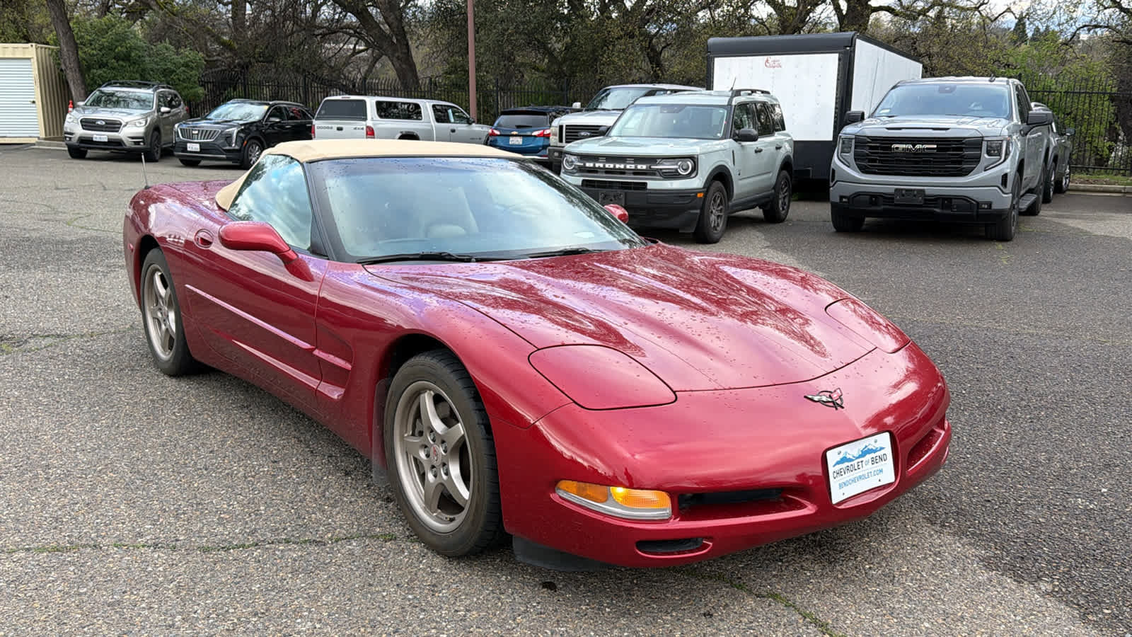 Used 1999 Chevrolet Corvette Convertible w/ Memory Pkg image 3