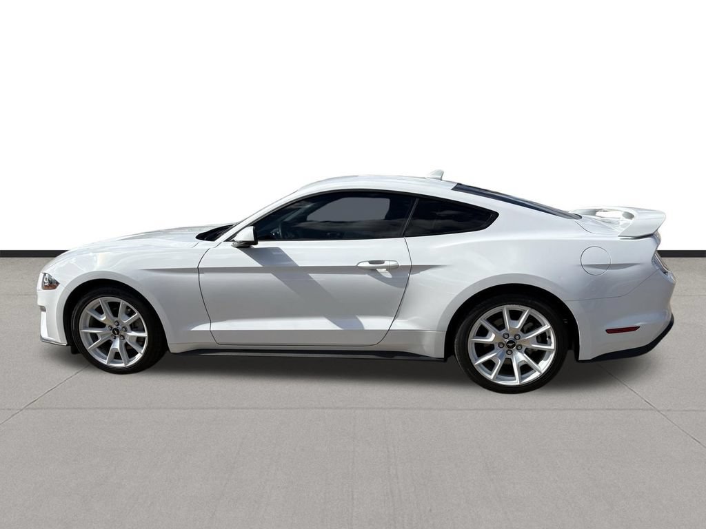 Used 2023 Ford Mustang Premium w/ Equipment Group 201A RWD image 2