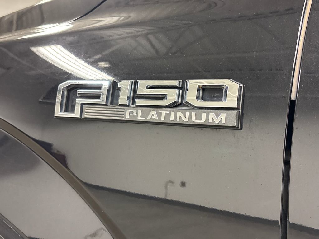 Used 2019 Ford F150 Platinum image 15