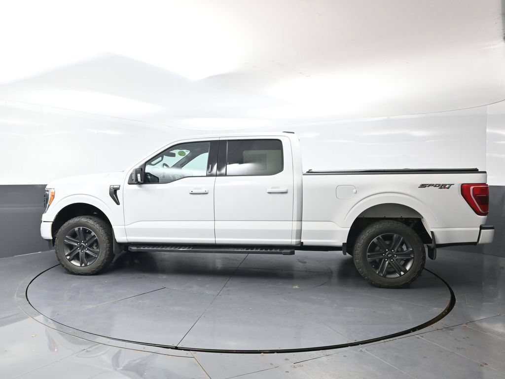 Used 2023 Ford F150 XLT w/ Equipment Group 302A High AWD/4WD image 10