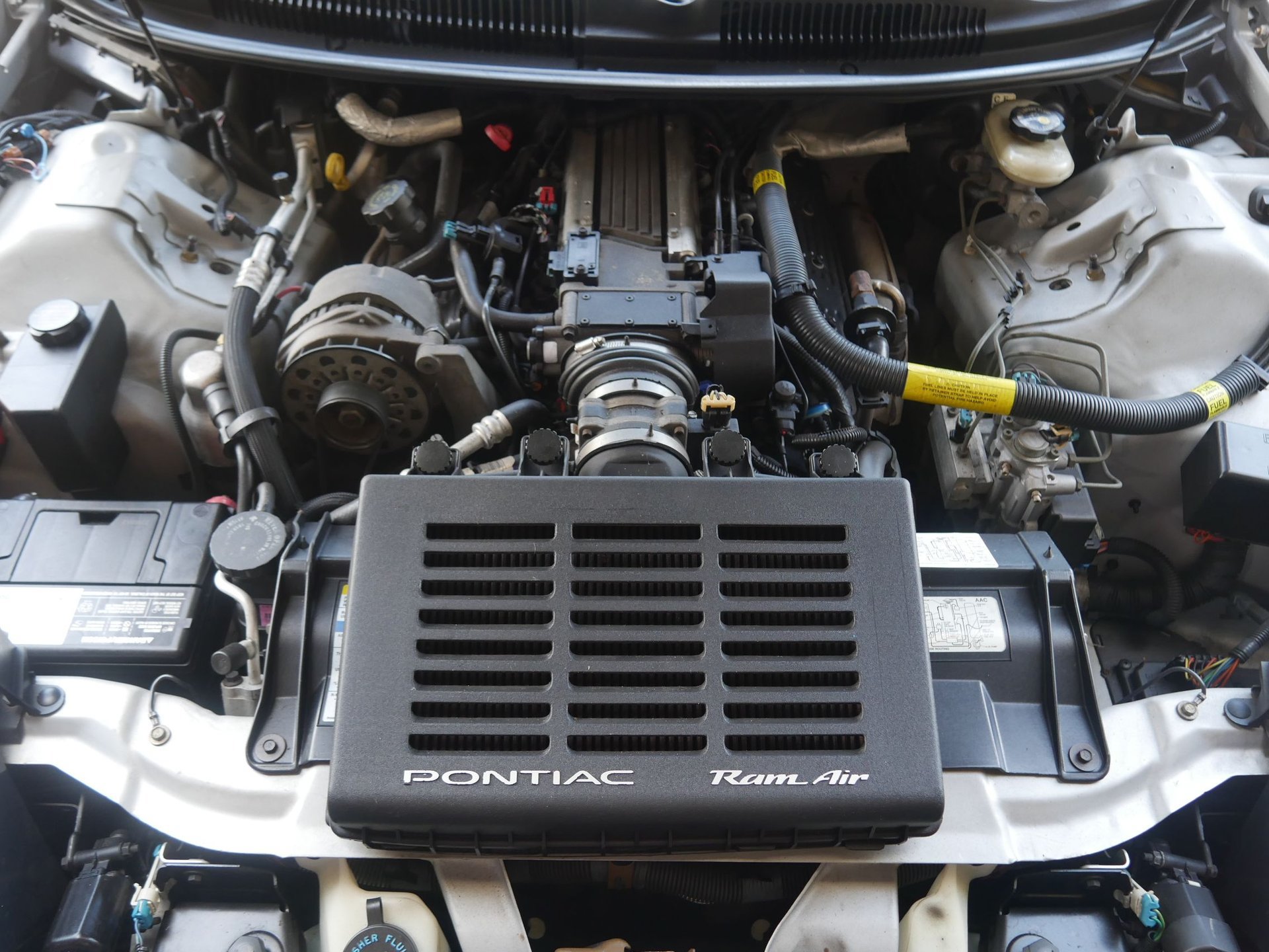 Used 1997 Pontiac Firebird Trans Am RWD image 5