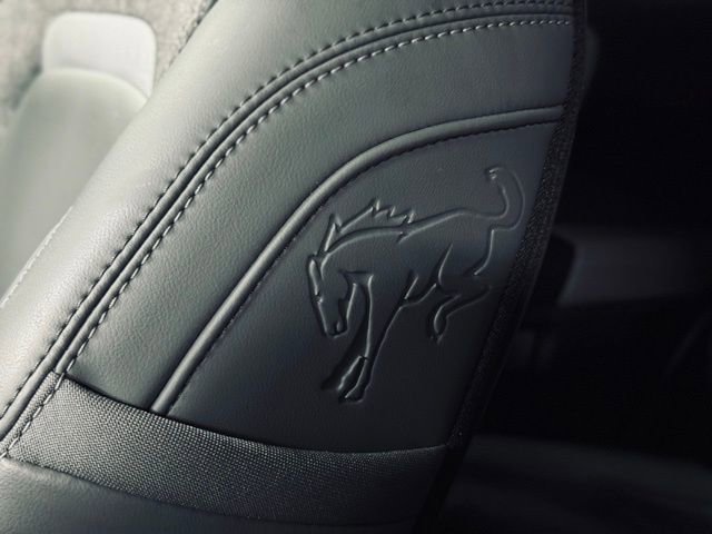 Used 2025 Ford Bronco Sport Badlands image 18