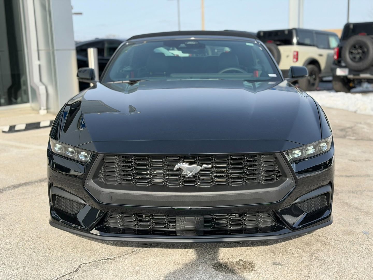 New 2026 Ford Mustang Premium image 2