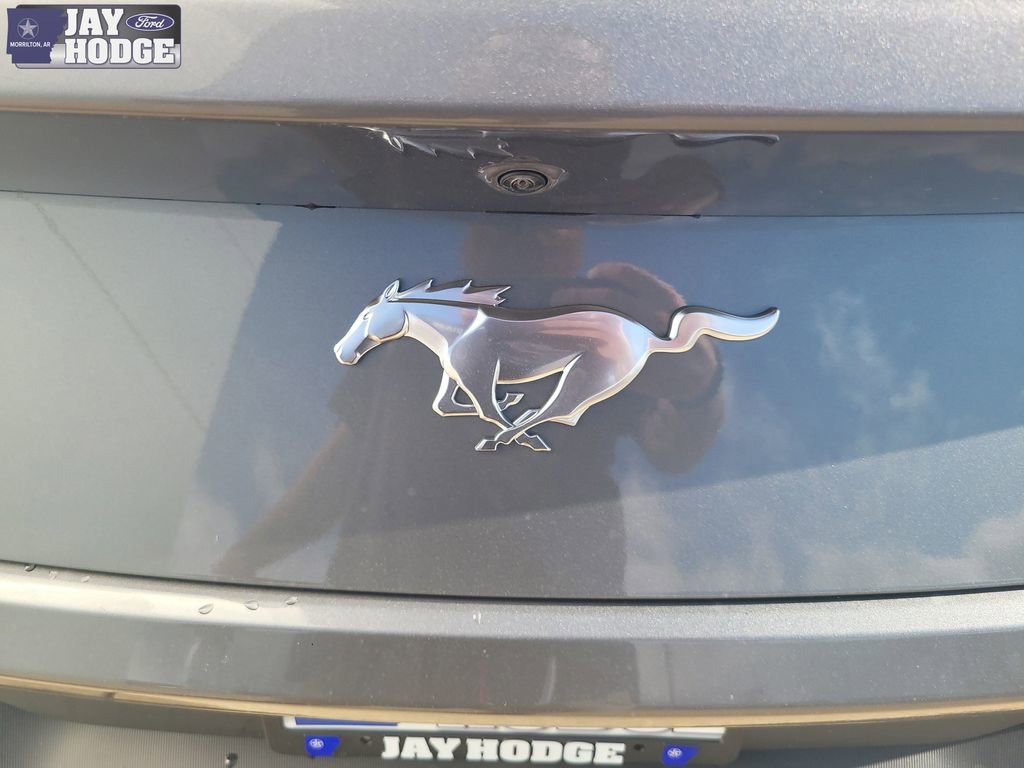 New 2026 Ford Mustang EcoBoost image 6
