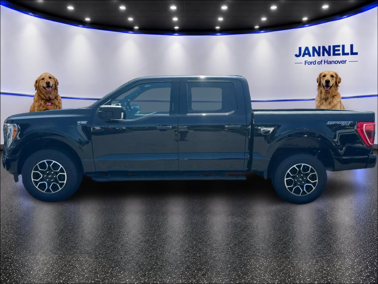 Used 2023 Ford F150 XLT w/ Equipment Group 302A High AWD/4WD image 9