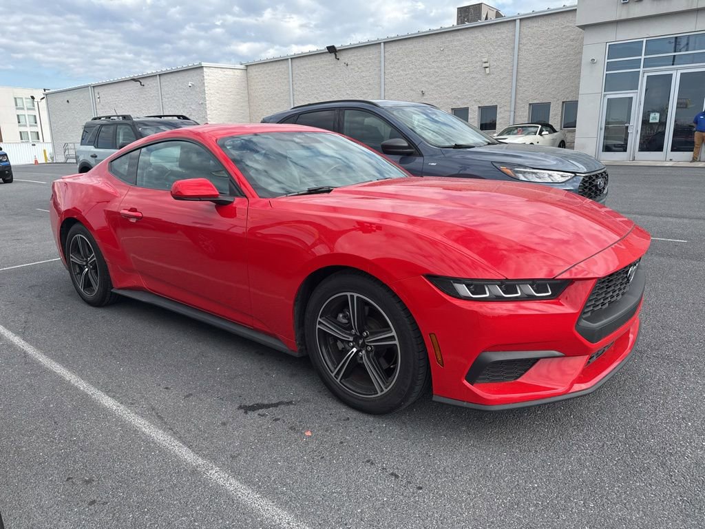 Certified 2024 Ford Mustang Premium image 1