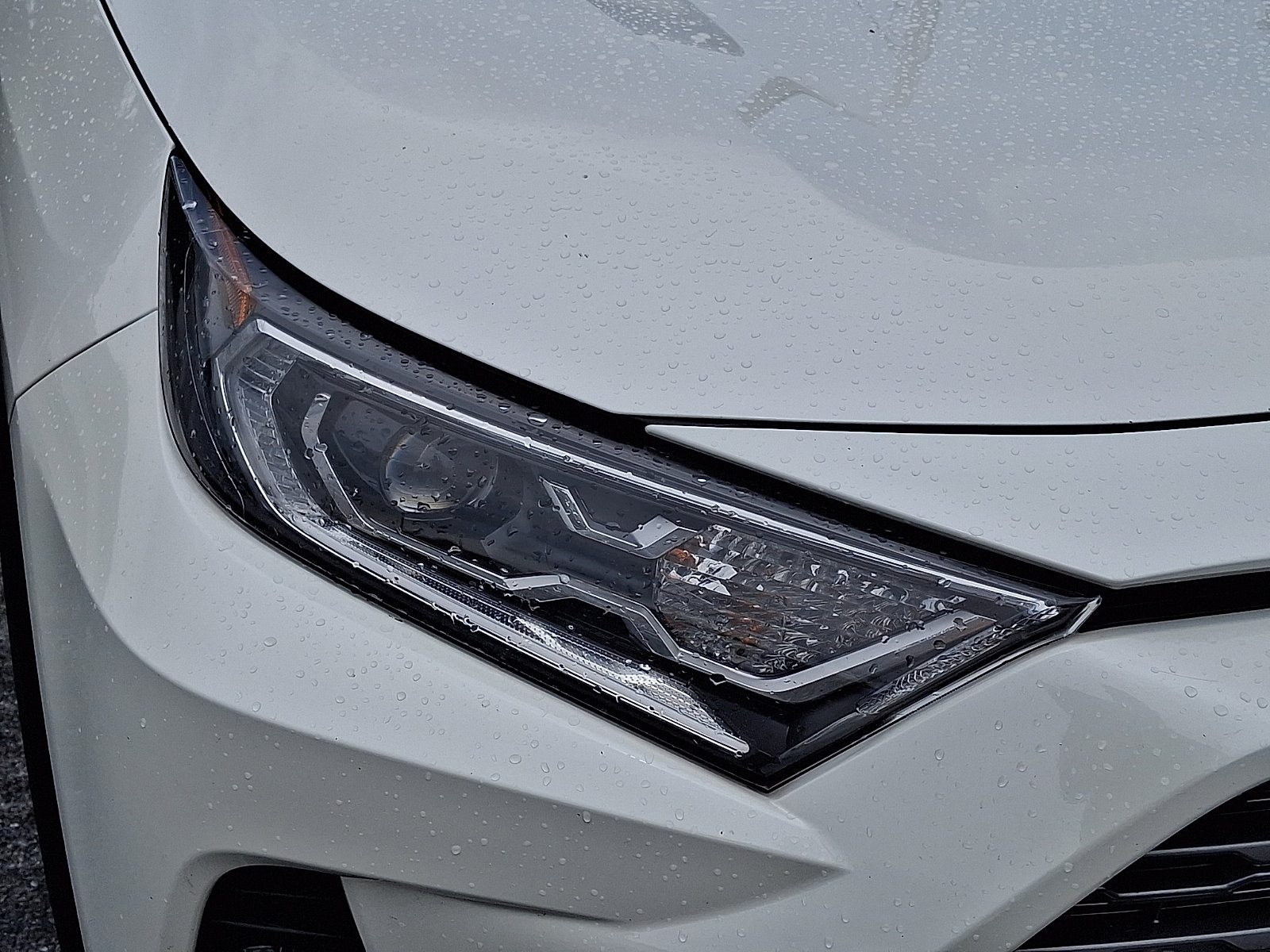 Used 2019 Toyota RAV4 Limited w/ Carpet Mat Package AWD/4WD image 10