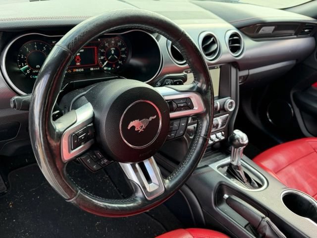 Used 2019 Ford Mustang GT Premium w/ Equipment Group 401A RWD image 18
