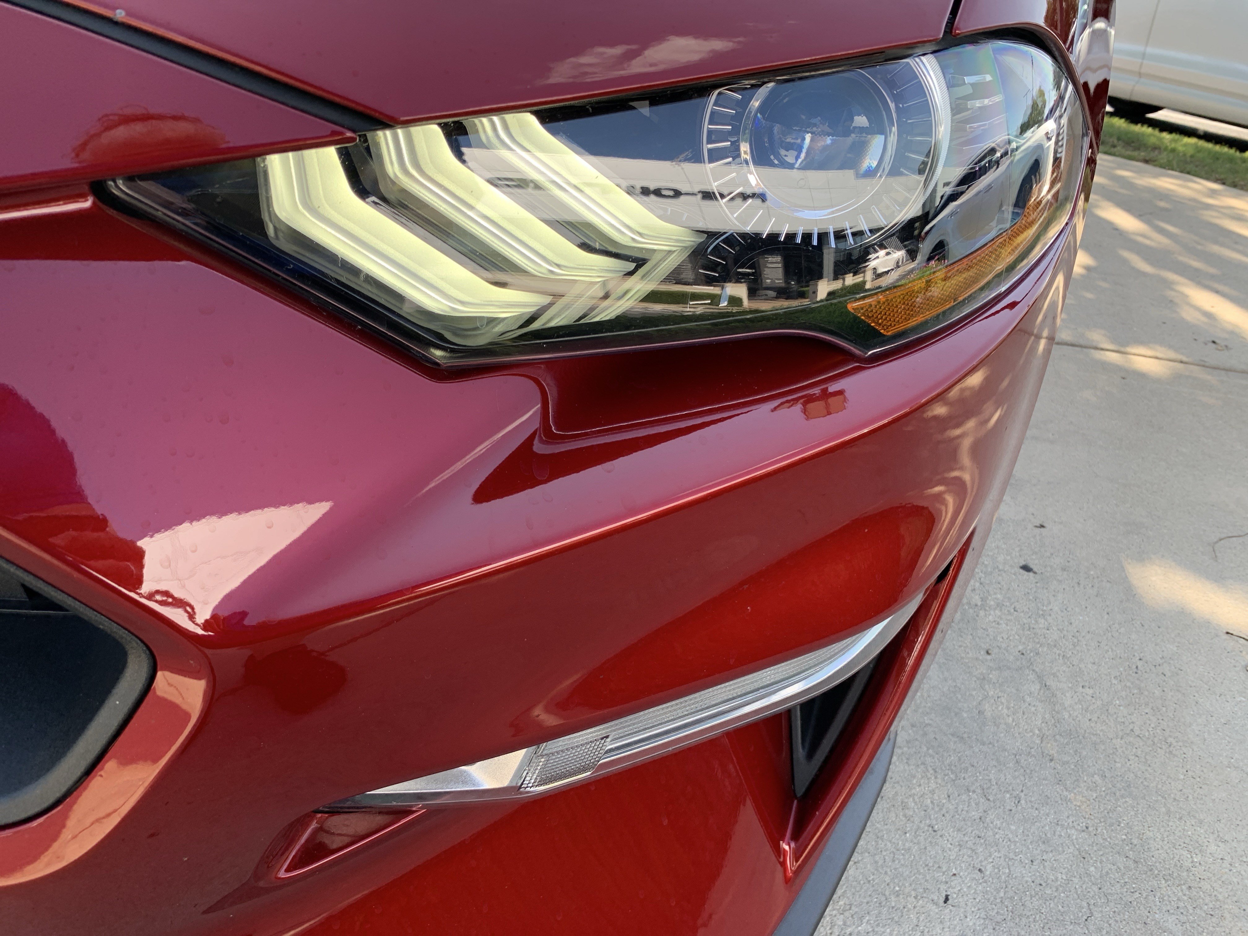Used 2019 Ford Mustang Premium w/ Equipment Group 201A RWD image 6