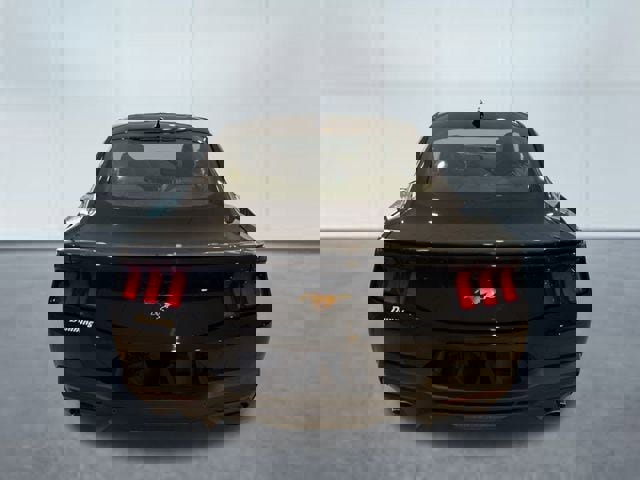 New 2026 Ford Mustang Premium image 3