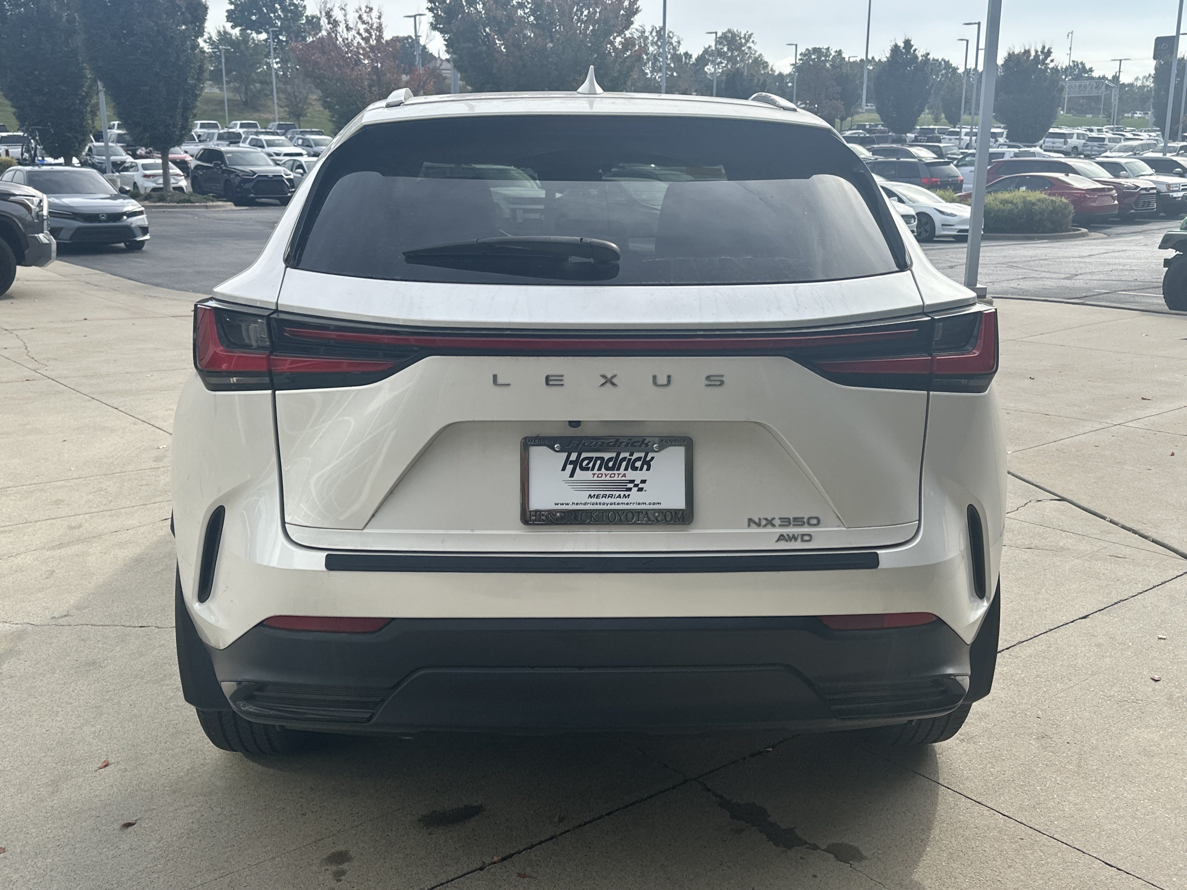 Used 2024 Lexus NX 350 AWD w/ Cold Area Package image 8