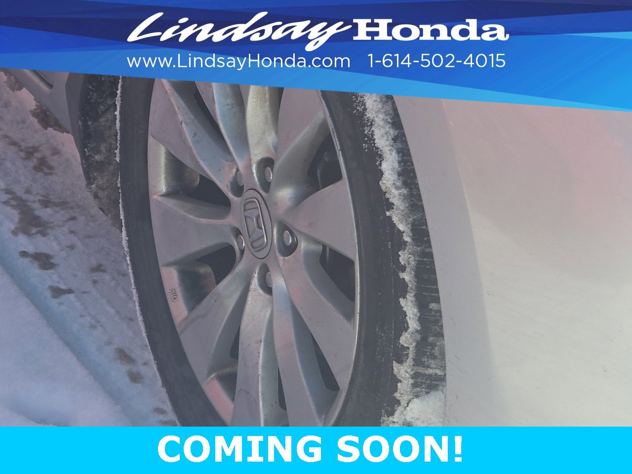 Used 2013 Honda Accord EX-L image 6