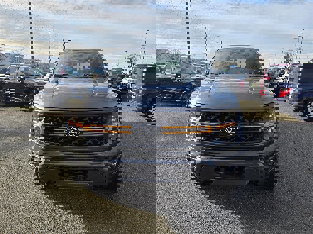 New 2025 Ford F150 Tremor w/ Equipment Group 402A High image 2