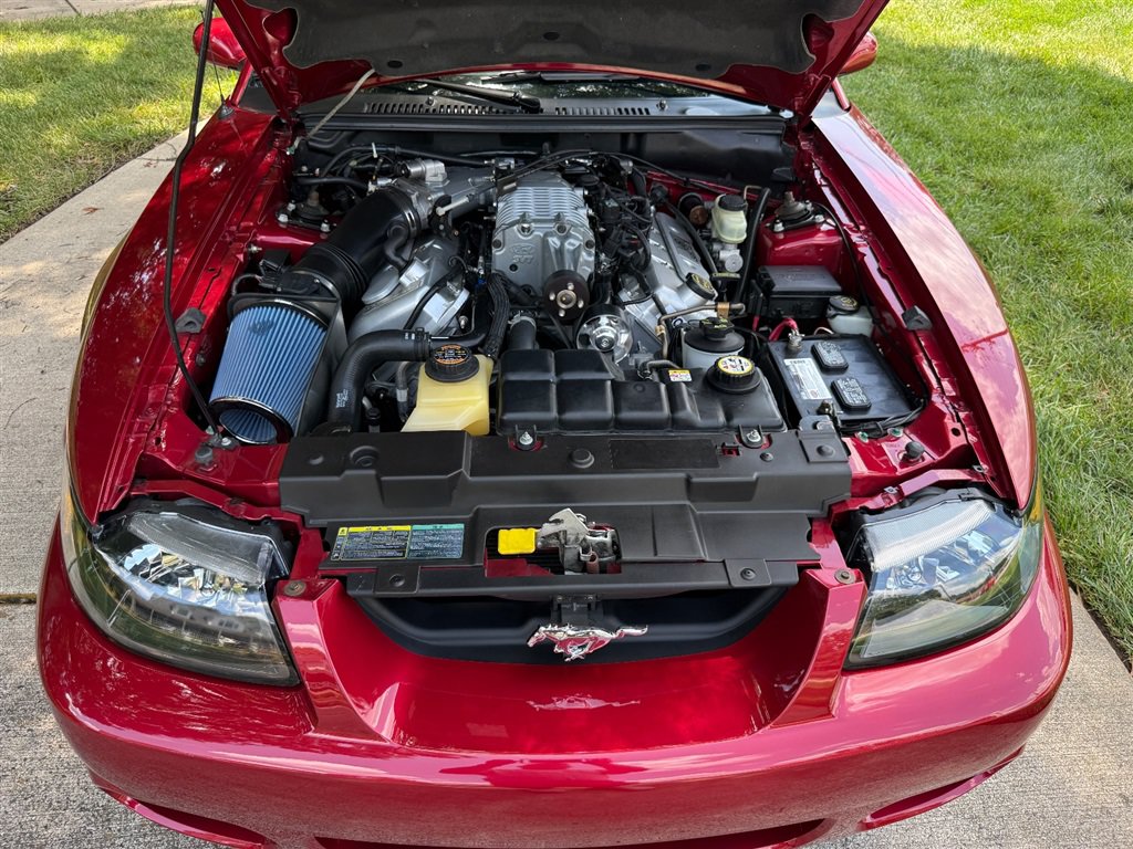 Used 2004 Ford Mustang Cobra RWD image 65