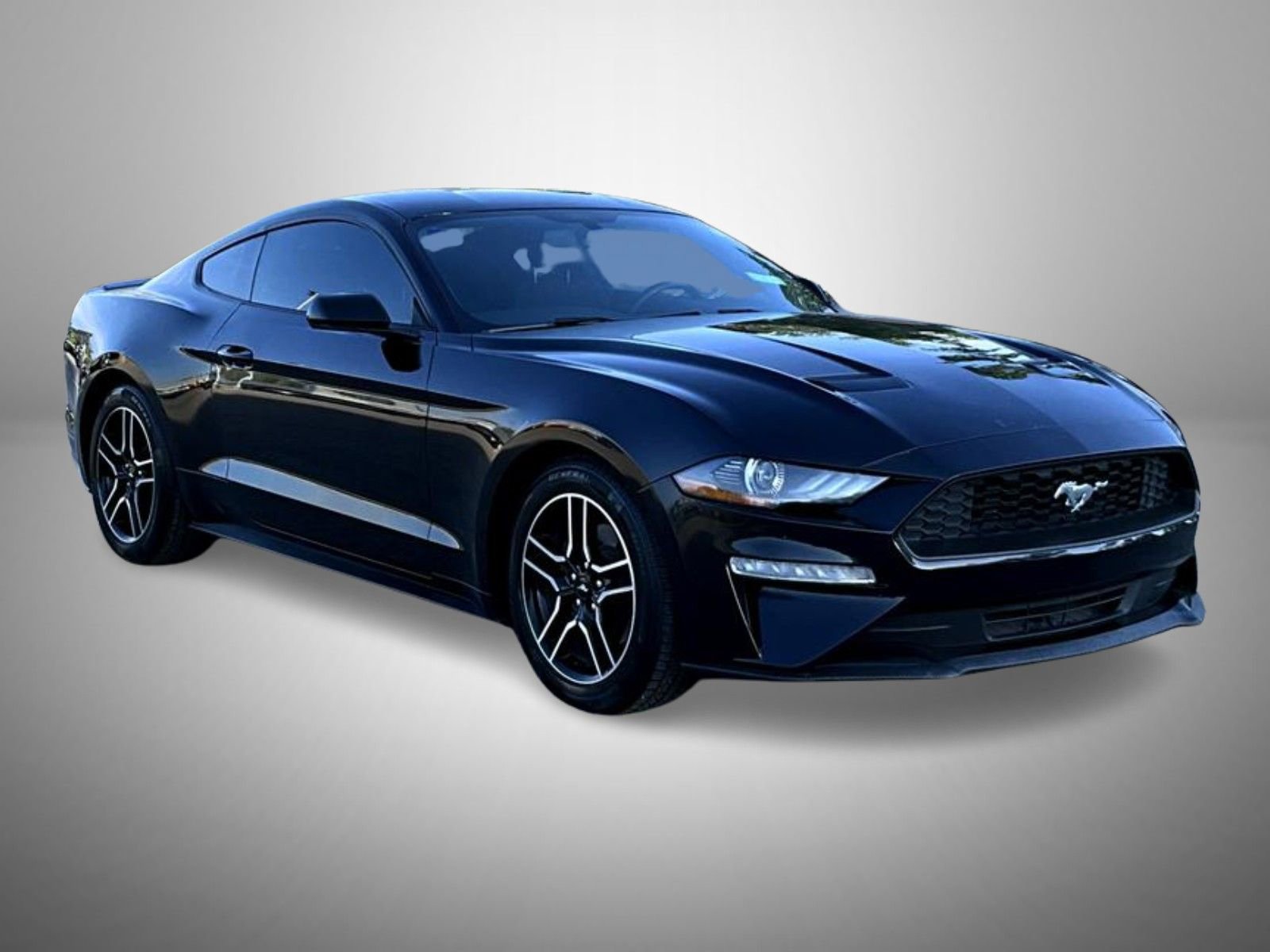 Used 2020 Ford Mustang Coupe w/ Equipment Group 101A RWD image 3