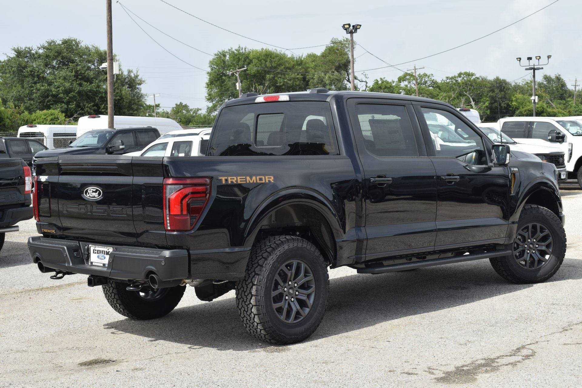 New 2025 Ford F150 Tremor w/ Equipment Group 402A High image 6