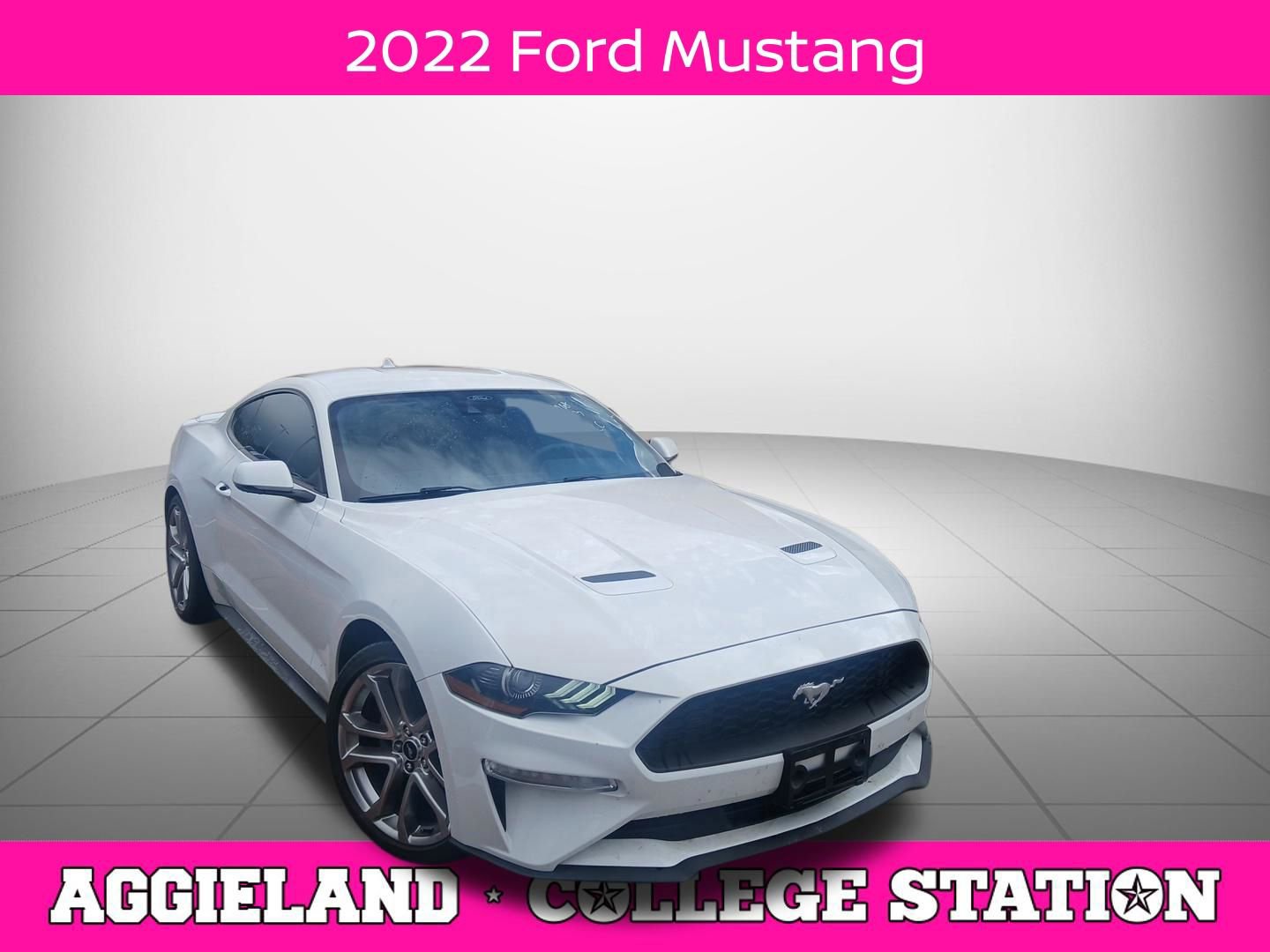Used 2022 Ford Mustang Premium w/ Equipment Group 201A