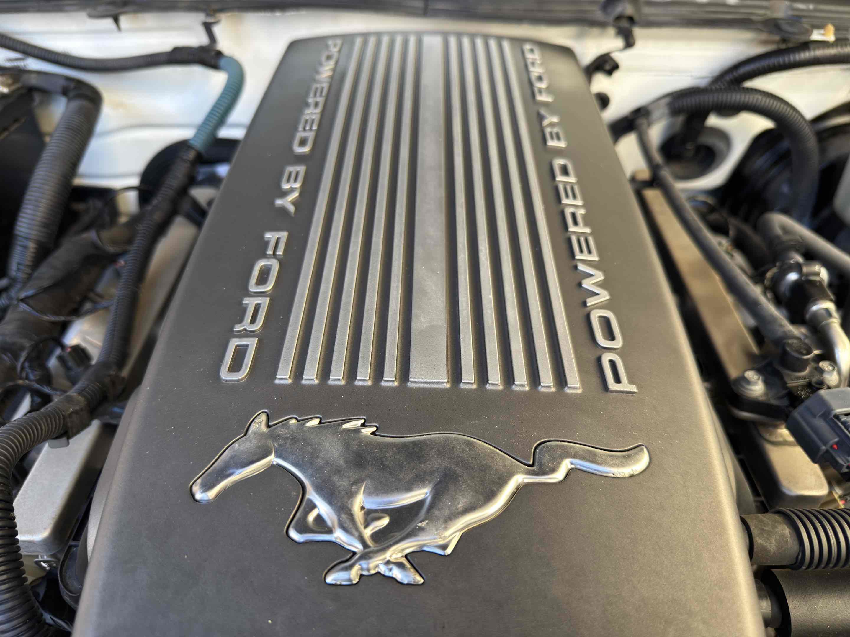 Used 2008 Ford Mustang GT Premium RWD image 52
