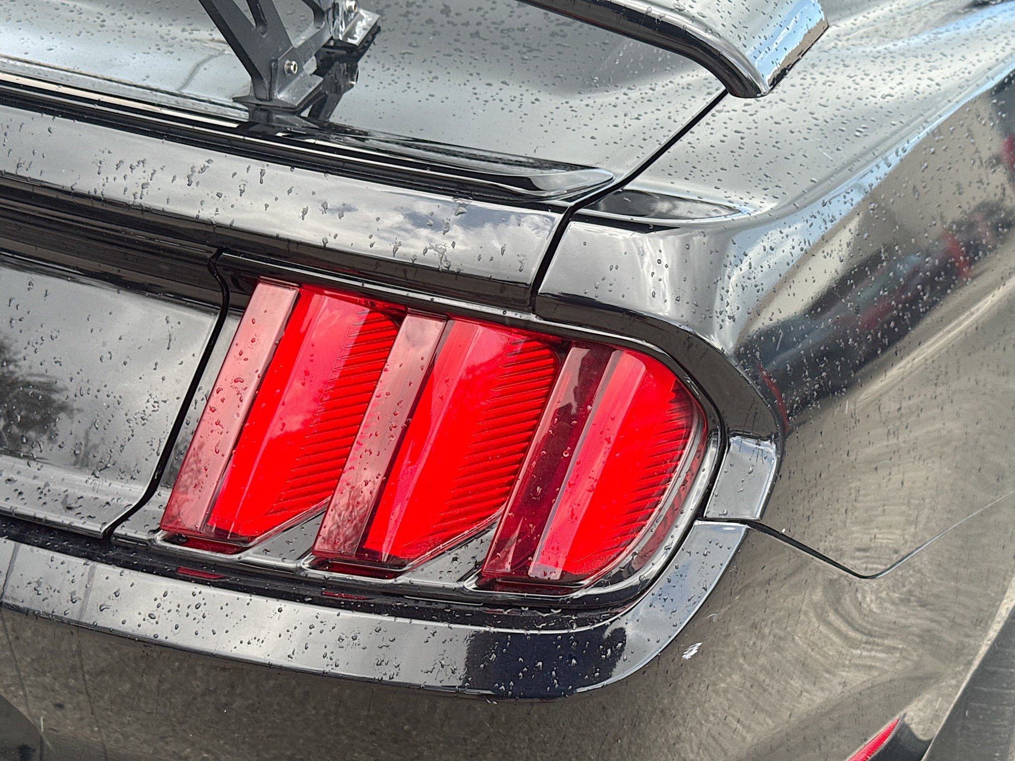 Used 2017 Ford Mustang EcoBoost image 25