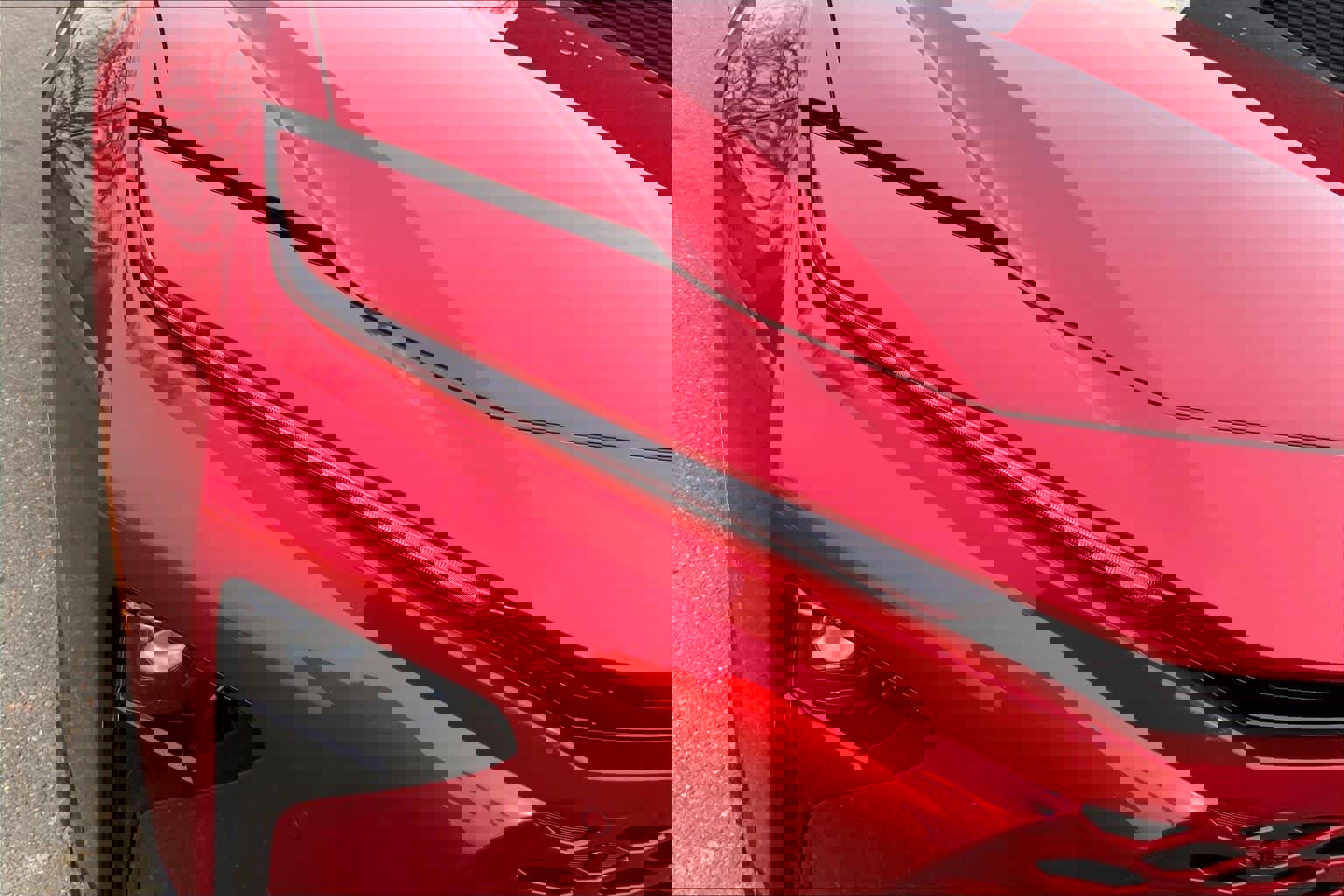 New 2026 Toyota Crown Signia image 13