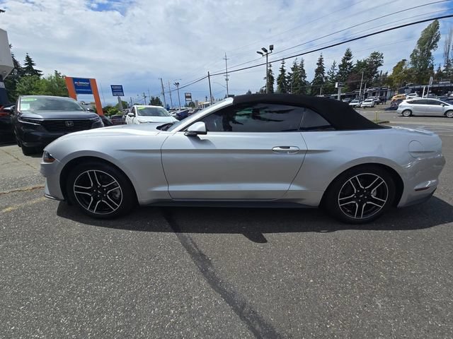 Used 2019 Ford Mustang Premium RWD image 4