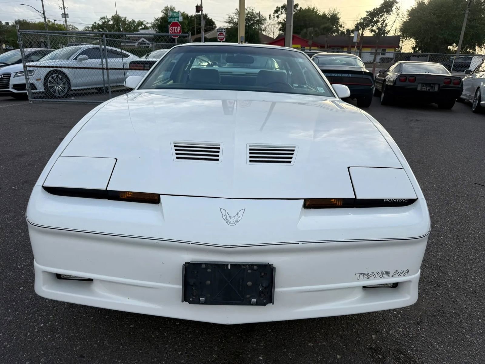 Used 1990 Pontiac Firebird Trans Am image 2