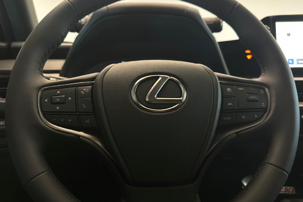 New 2026 Lexus UX 300h AWD w/ Cold Area Package image 23