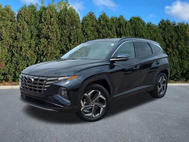 Used 2024 Hyundai Tucson Limited AWD/4WD image 1