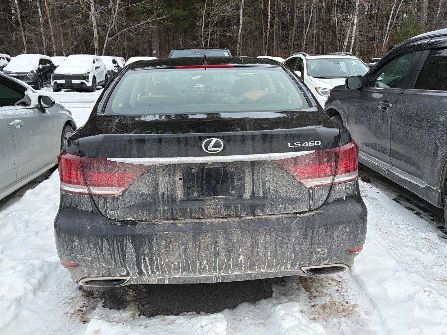 Used 2014 Lexus LS 460 LS 460 image 8