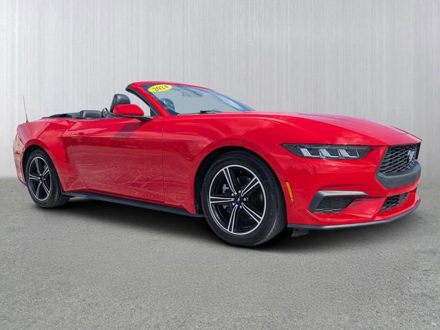 Used 2024 Ford Mustang Premium image 1