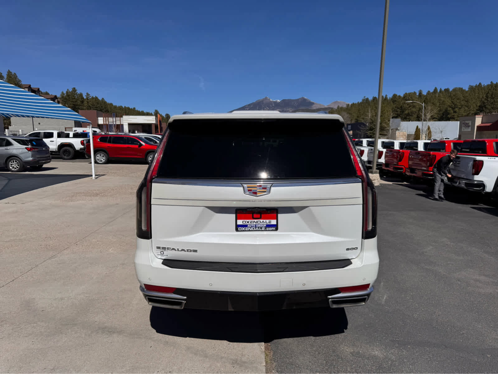 Used 2022 Cadillac Escalade Luxury image 4