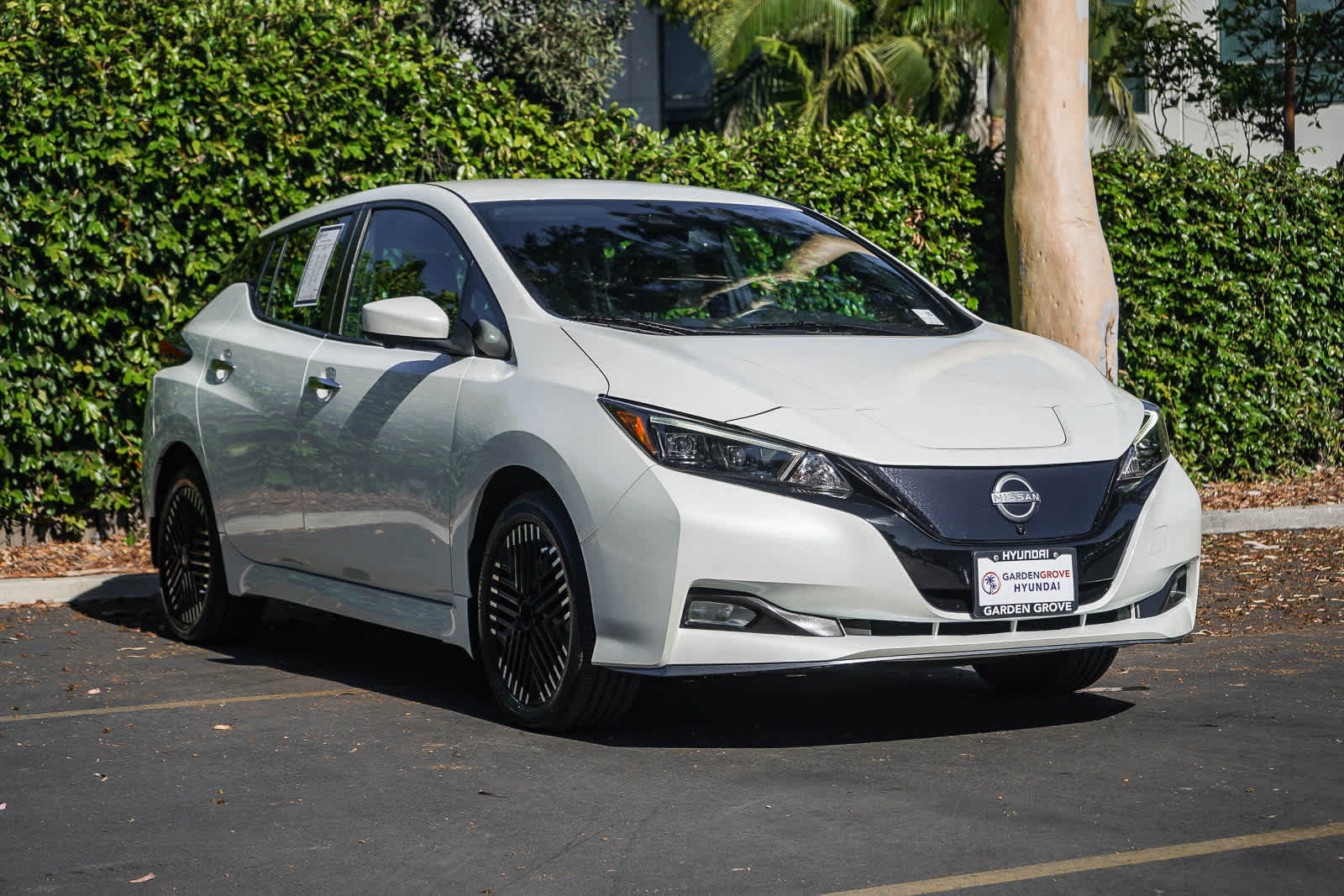 Used 2023 Nissan Leaf SV Plus FWD image 3