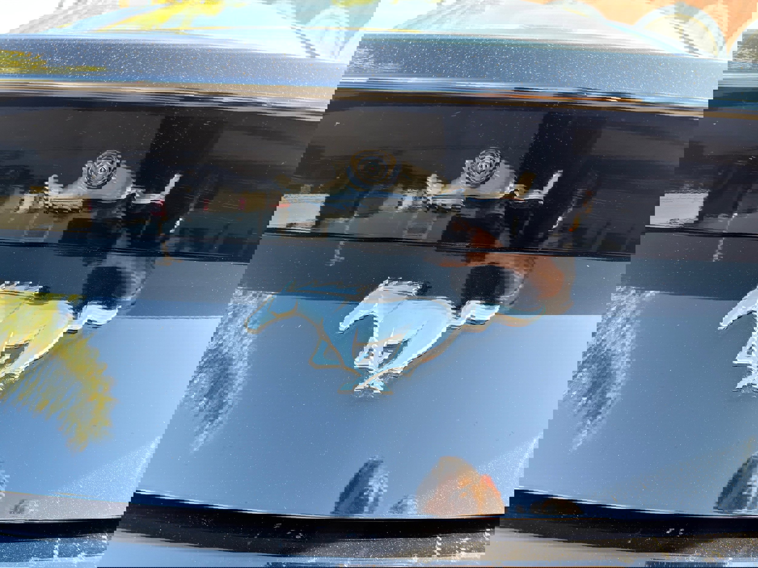 Used 2024 Ford Mustang Ecoboost image 31