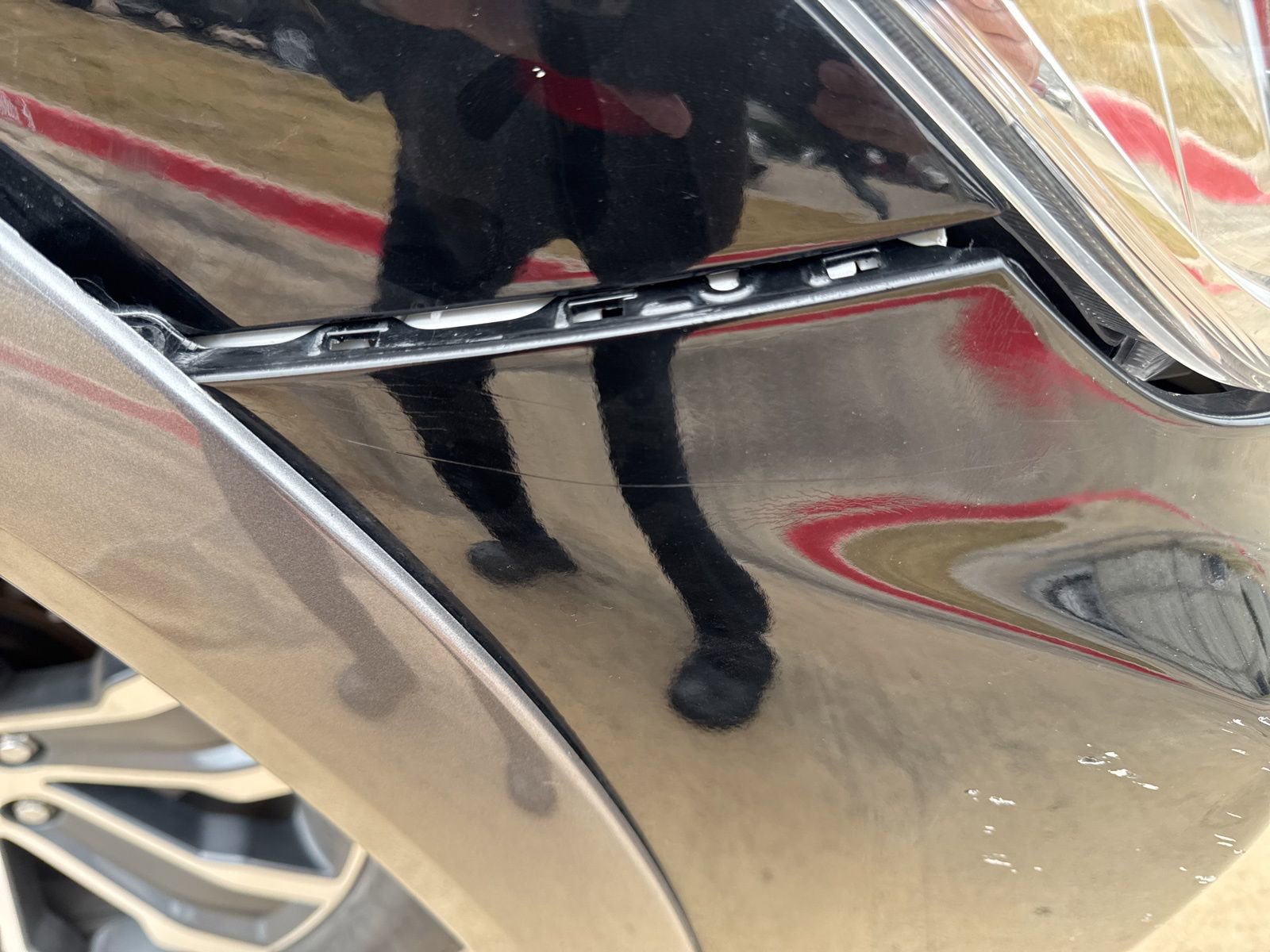 Used 2019 Nissan Armada SL w/ Premium Package image 25