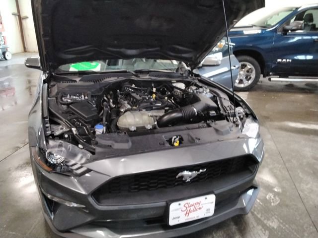 Used 2021 Ford Mustang Premium RWD image 11