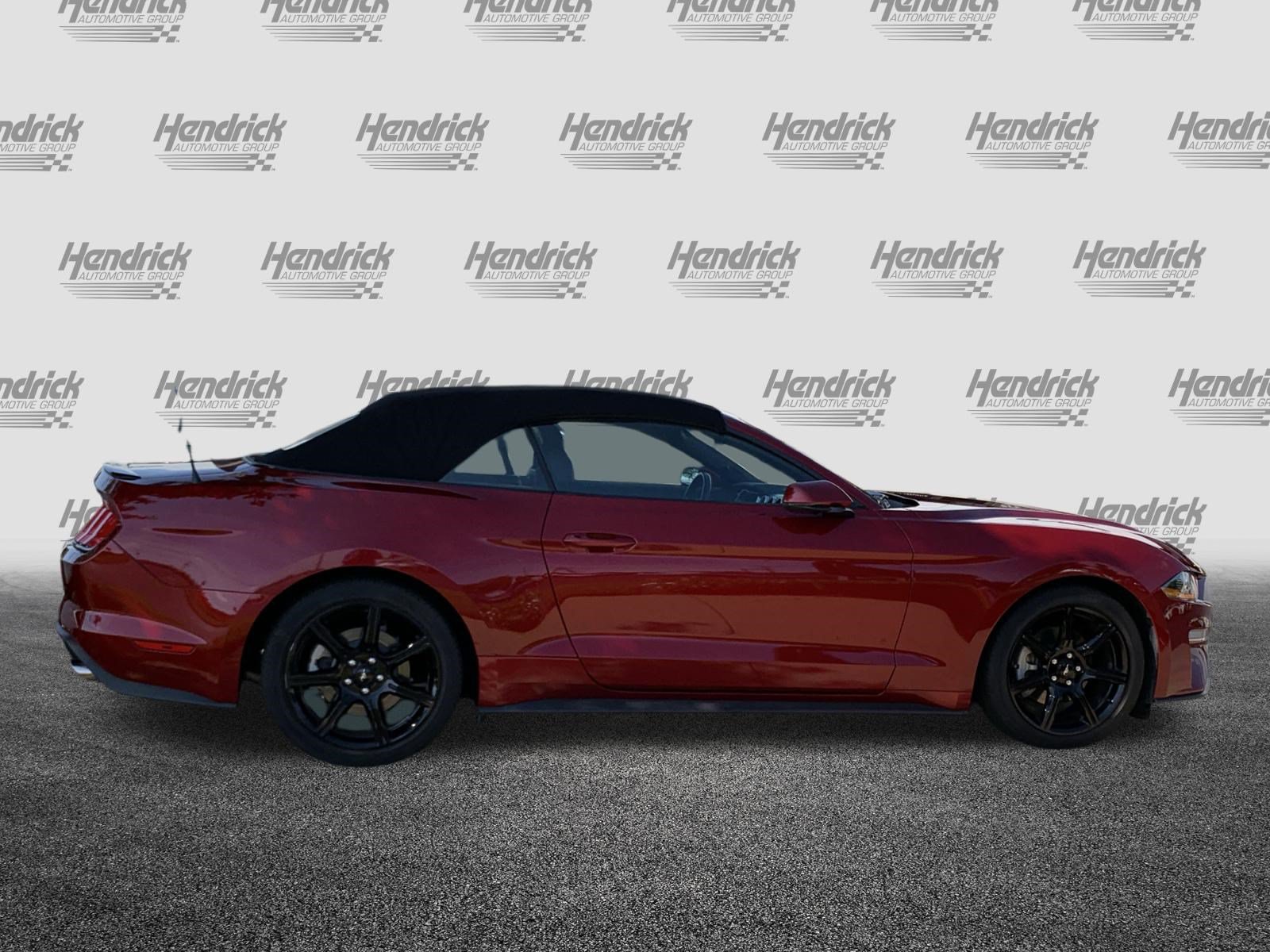Used 2019 Ford Mustang Premium w/ Equipment Group 201A RWD image 11