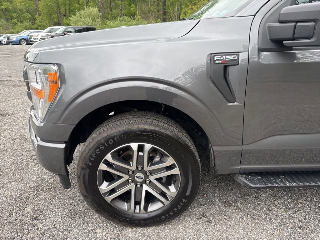 Used 2022 Ford F150 XL w/ STX Appearance Package AWD/4WD image 6