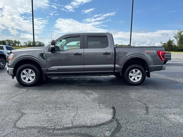 Used 2022 Ford F150 XL w/ Trailer Tow Package AWD/4WD image 20